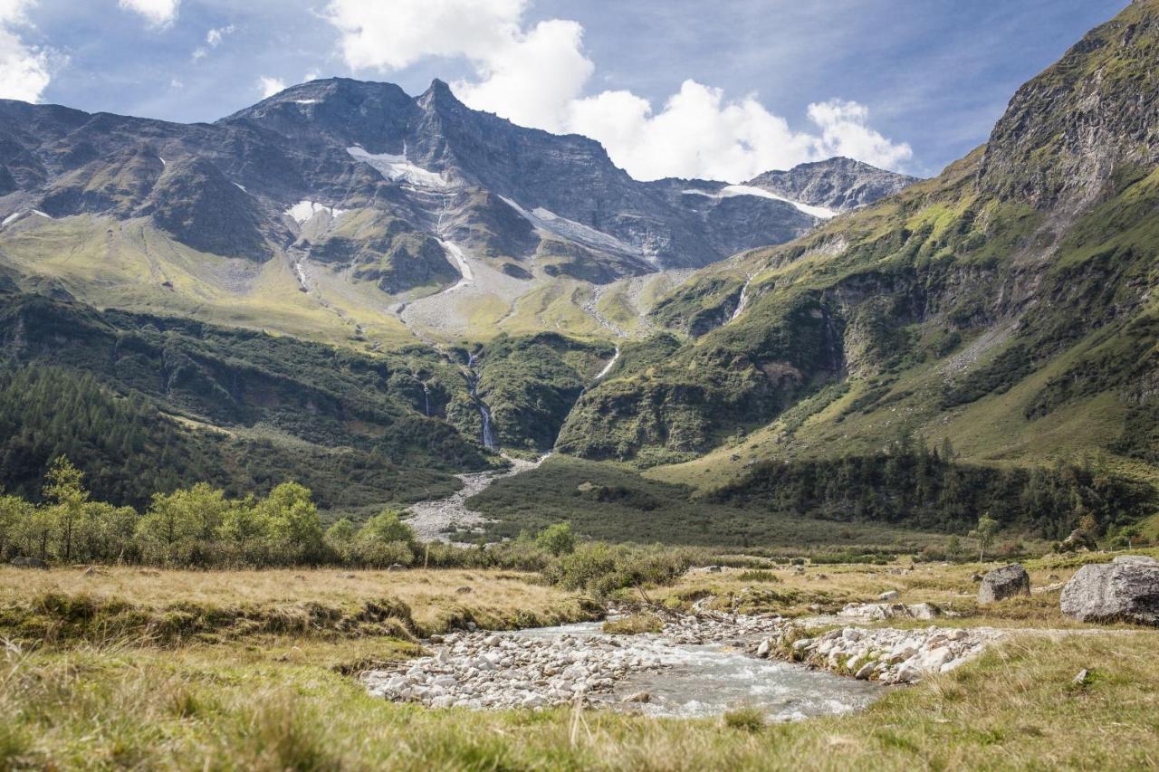 Carpe Solem By Alps *